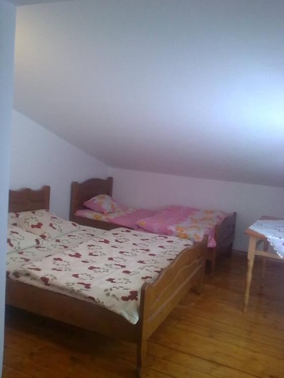 Pensiunea Scarisoara Ghetari Habitación foto